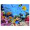 Designart - Coral Reef Coral Colony - Sea & Shore Nautical Photographic on wrapped Canvas